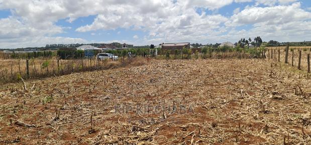 Big 1⁄4 Plot for Sale in Chepkanga Mwisho Wa Lami Eldoret - thumbnail 3