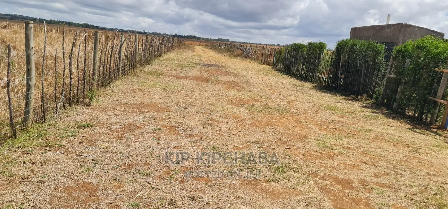 Big 1⁄4 Plot for Sale in Chepkanga Mwisho Wa Lami Eldoret