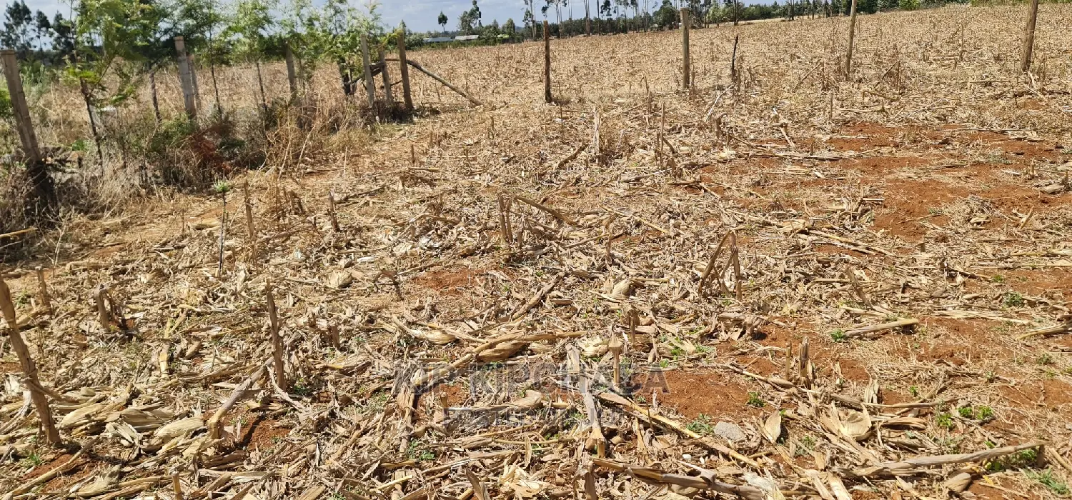 Big 1⁄4 Plot for Sale in Chepkanga Mwisho Wa Lami Eldoret