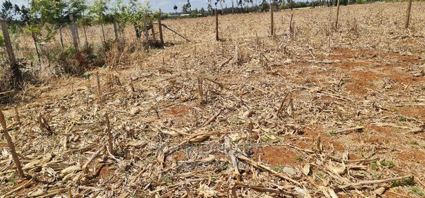 Big 1⁄4 Plot for Sale in Chepkanga Mwisho Wa Lami Eldoret - thumbnail 7