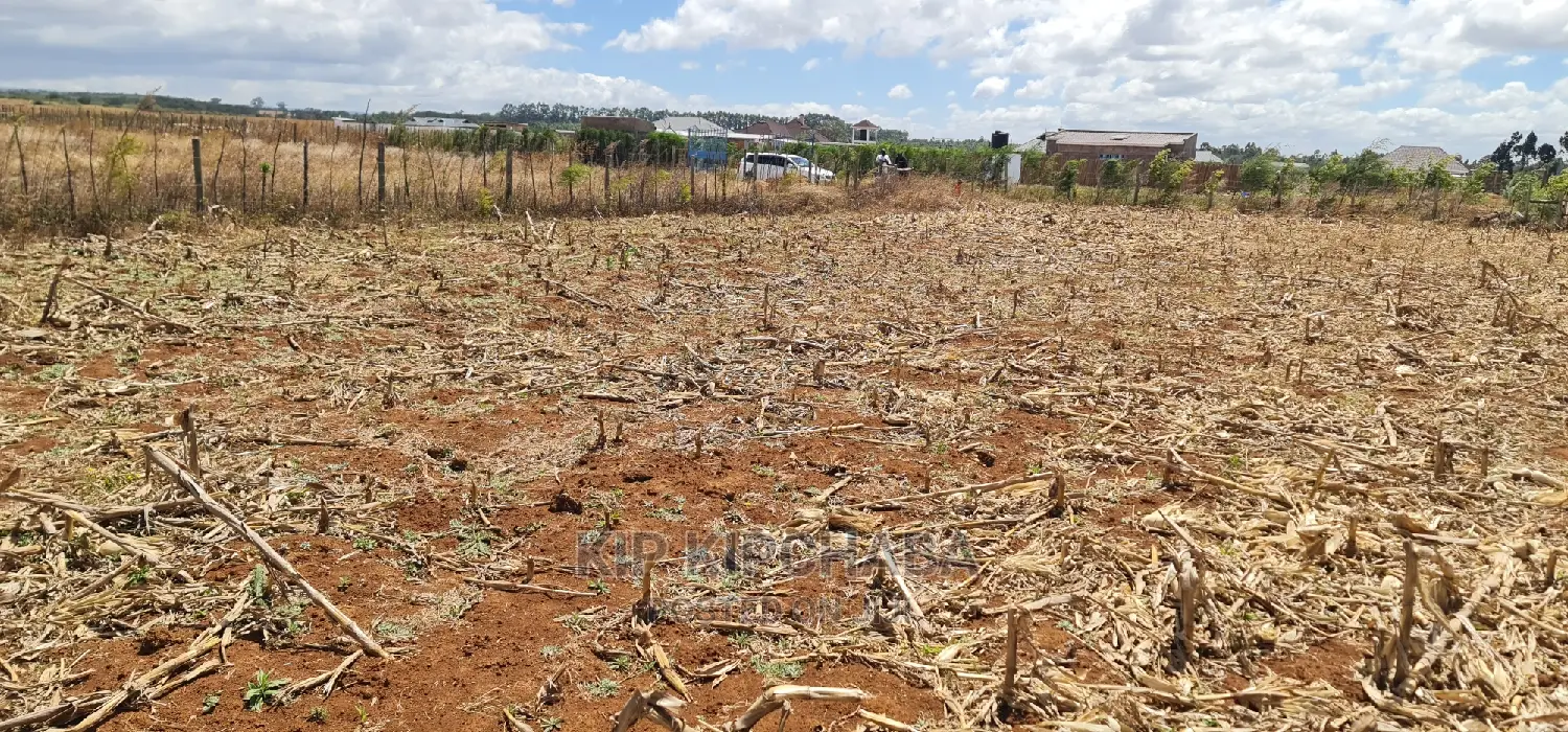 Big 1⁄4 Plot for Sale in Chepkanga Mwisho Wa Lami Eldoret