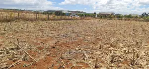 Big 1⁄4 Plot for Sale in Chepkanga Mwisho Wa Lami Eldoret