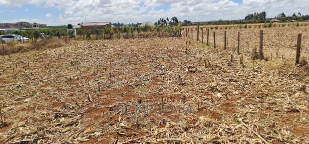 Big 1⁄4 Plot for Sale in Chepkanga Mwisho Wa Lami Eldoret - thumbnail 4