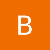 Bryan Price logo