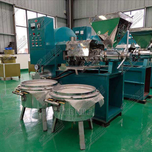Rapeseed Peanut Screw Commercial Oil Press Equipment