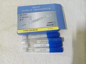 Clinical Thermometer - main view
