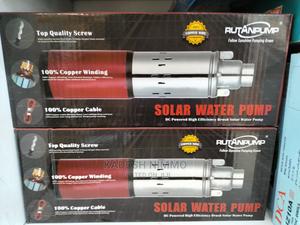 Brand New 250 Watts Rutan Pump