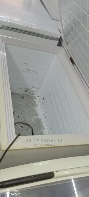 Chest Freezer
