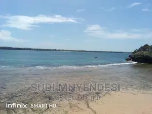 4 Acres Beach Front Shimoni