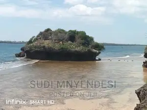 4 Acres Beach Front Shimoni