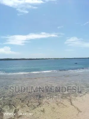4 Acres Beach Front Shimoni