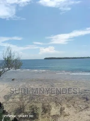 4 Acres Beach Front Shimoni