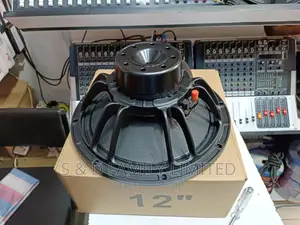 12 Inch Neodymium Speaker