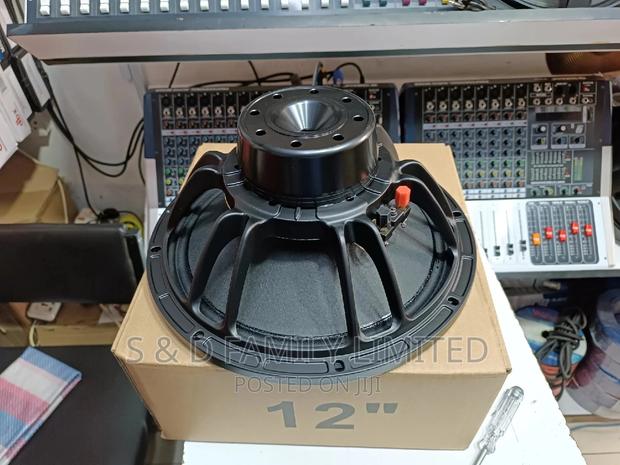 12 Inch Neodymium Speaker