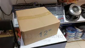 12 Inch Neodymium Speaker