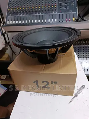12 Inch Neodymium Speaker