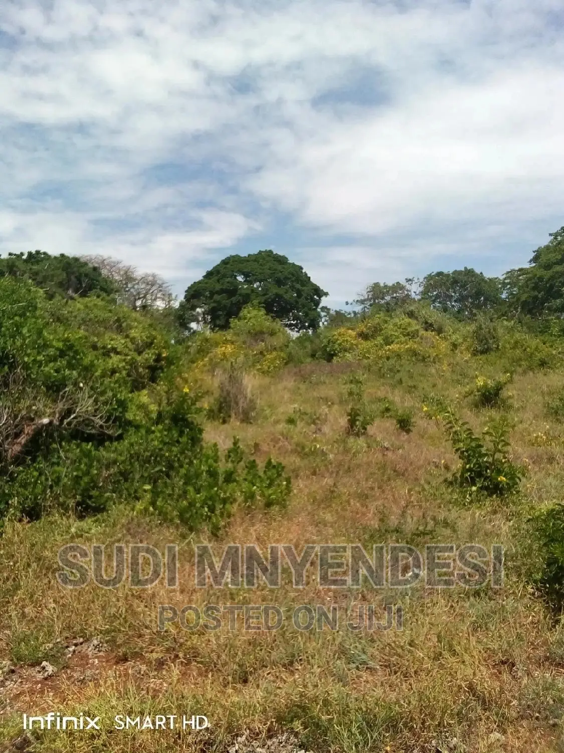 4 Acres Beach Front Shimoni