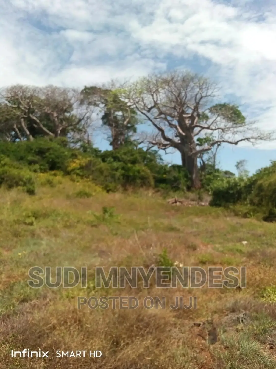 4 Acres Beach Front Shimoni