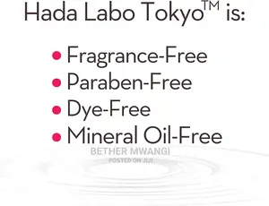 Hada Labo Tokyo Skin Plumbing Gel