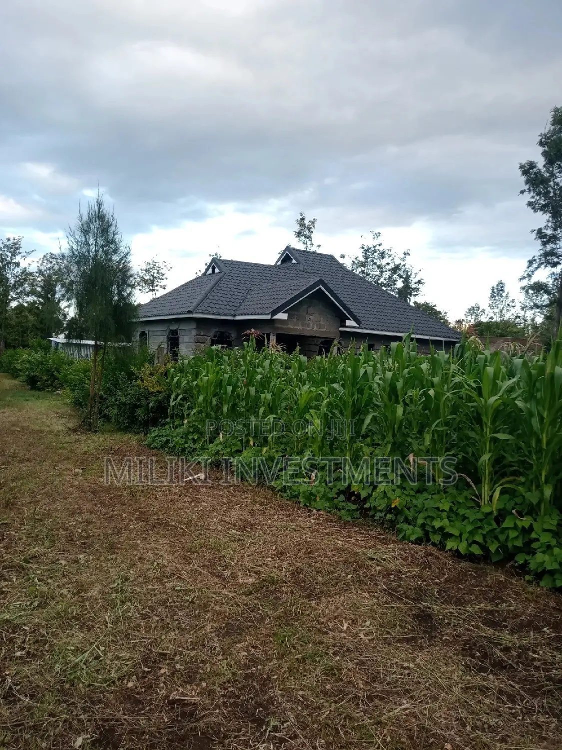 50 by 100 on Sale at Kenol