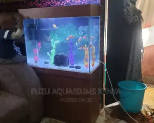 Fish Tank Aquarium