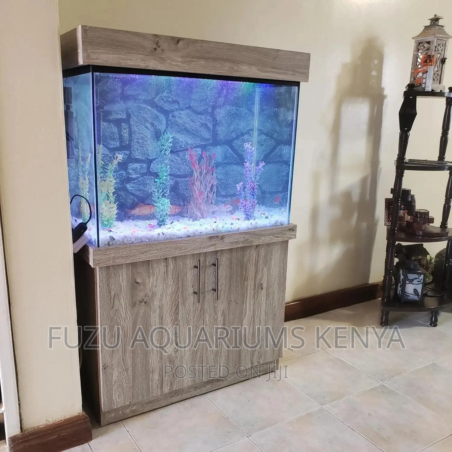 Full Aquarium