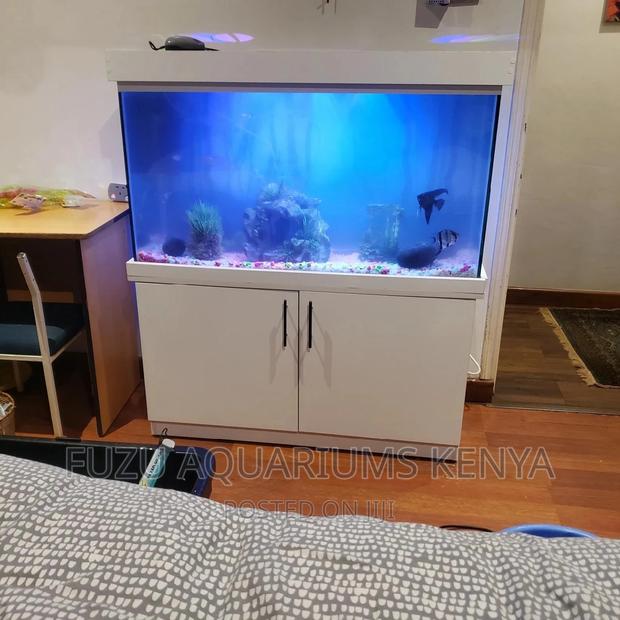 Home/Office Aquariums - main view