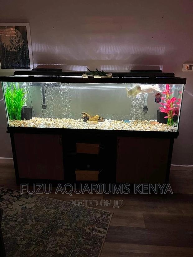 5feet Aquarium - main view