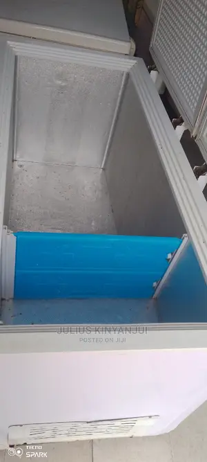 Double Door Freezer