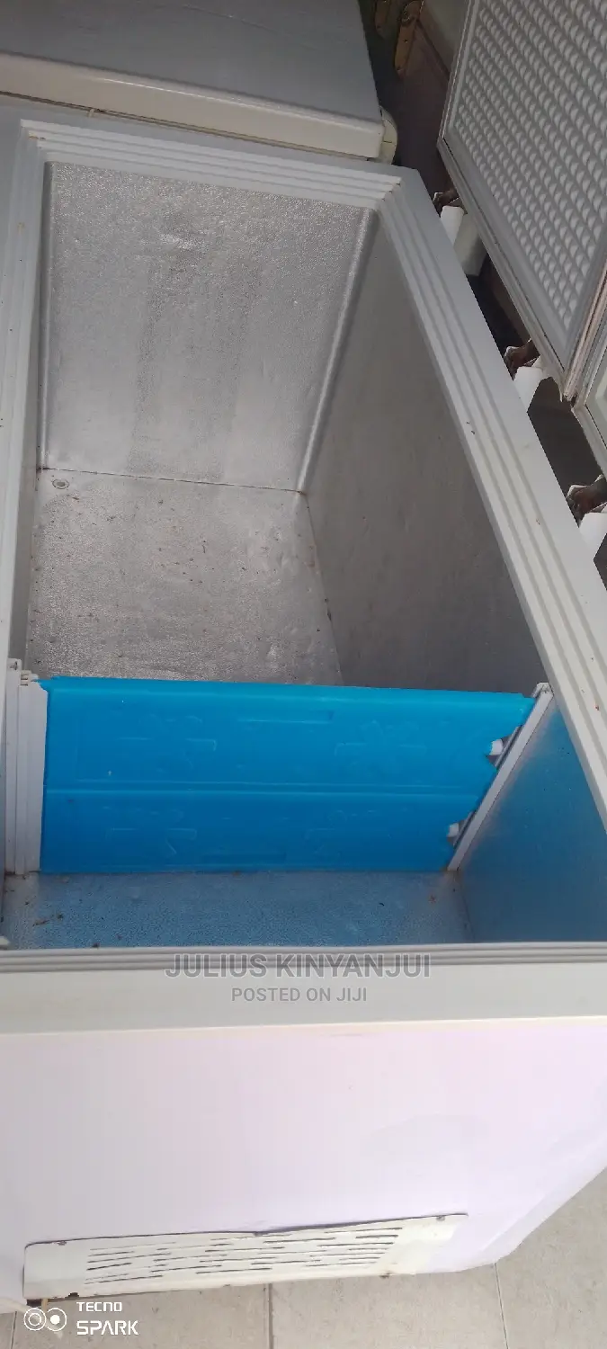 Double Door Freezer