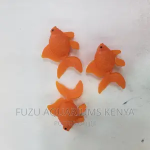 Aquarium Toys