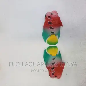 Aquarium Toys