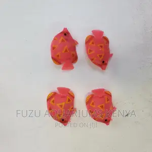 Aquarium Toys