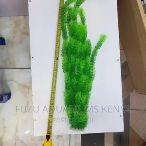 Tall Aquarium Plants [2feet]