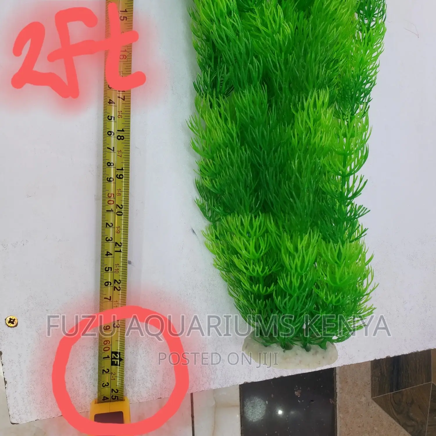 Tall Aquarium Plants [2feet]
