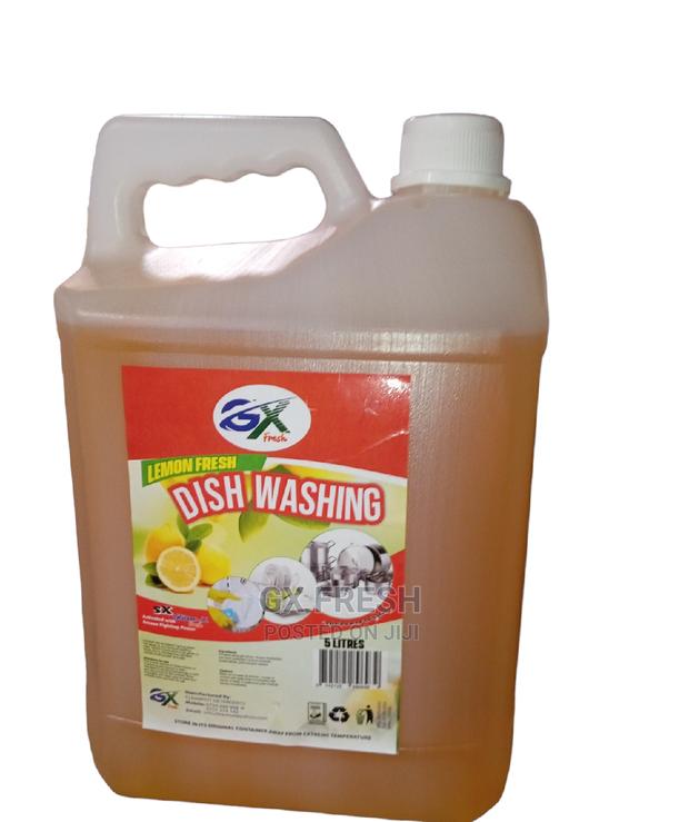 5L Dishwasher - main view