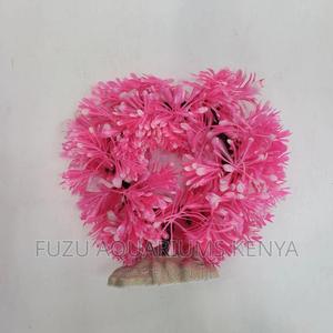 Round Aquarium Plants - thumbnail 2