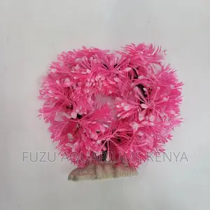 Round Aquarium Plants