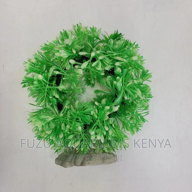 Round Aquarium Plant - Green - main view
