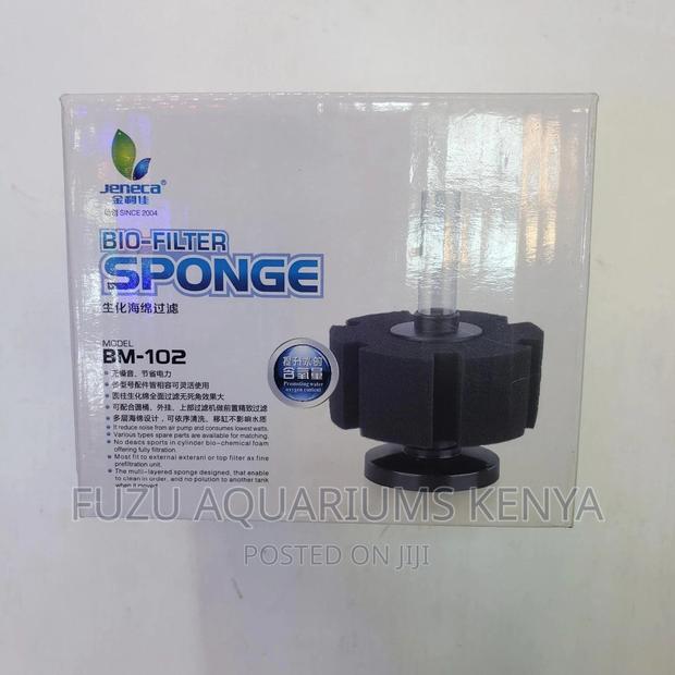 Sponge Filters. . - main view