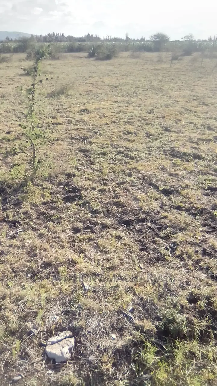 A Prime Plot at Komahill Kangundo Road