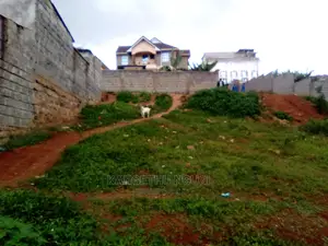 50 X 100 Commercial Plot Kirigiti