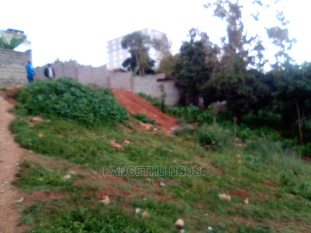 50 X 100 Commercial Plot Kirigiti - thumbnail 4