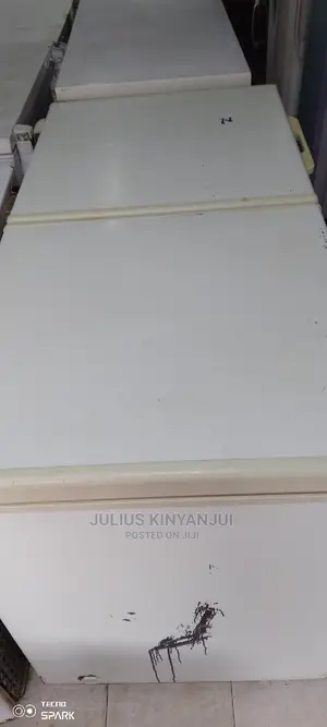 Double Door Freezer