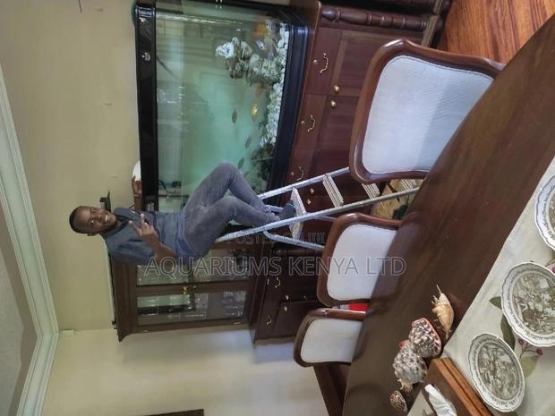 Aquarium Maintainance Treatment and Cleaning - main view