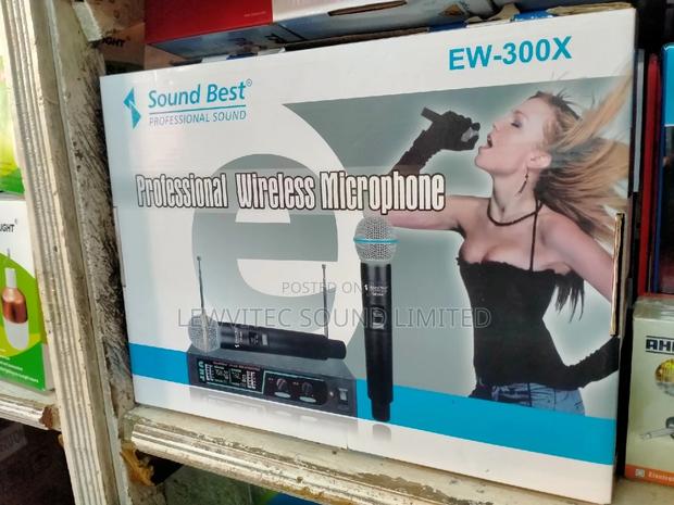 Professional Wireless Microphone