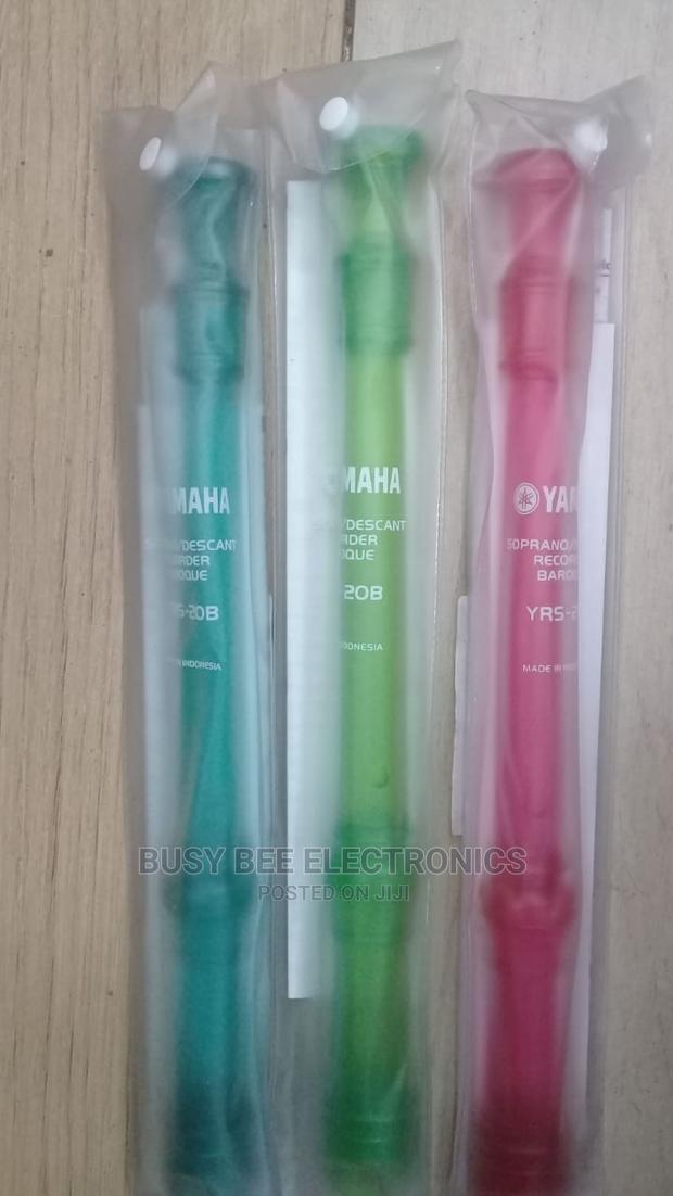 Descant Recorder - main view