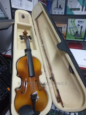 Violin Size 4/4