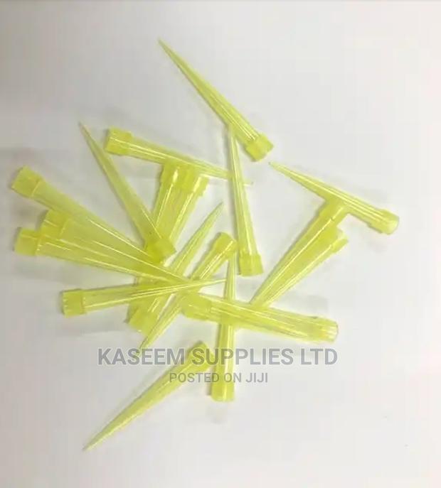 Yellow Tips - main view