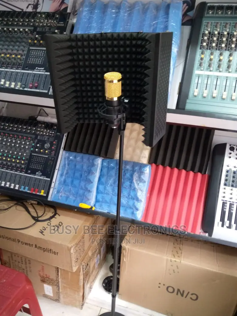 Microphone Shield